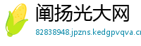 阐扬光大网